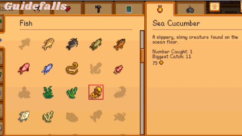 Sea Cucumber Stardew Valley