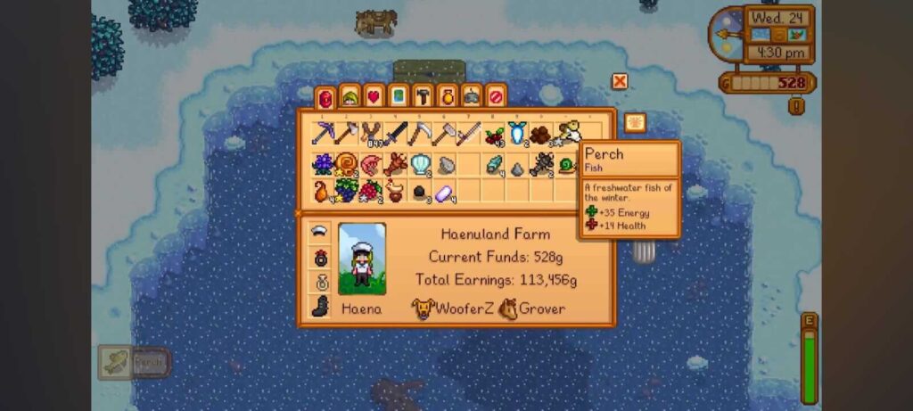 Perch Stardew Valley